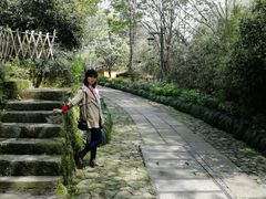 -法云古村