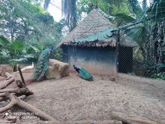 -海南热带野生动植物园