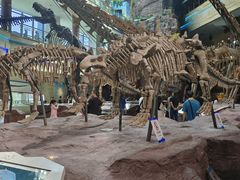 -安徽省地质博物馆