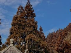 -南岳衡山风景名胜区