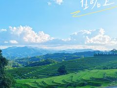 -牙胡梯田
