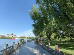 -莲花池公园