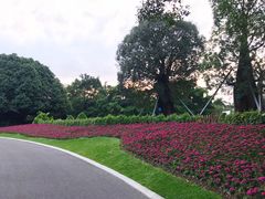 -南宁南湖公园