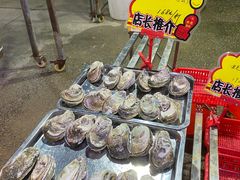 -蚝专家(北滘店)