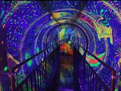 -成都梵高星空艺术馆(春熙路旗舰店)