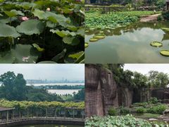 -广州莲花山旅游区