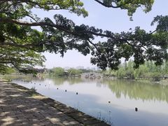 -江心屿景区