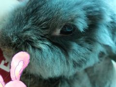 -雨林宠物医院 非犬猫异宠专科