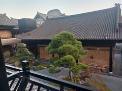 -三垟湿地