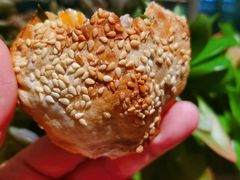 -金莲葱饼