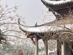 -长春观