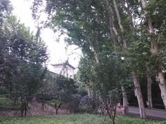 -武汉大学-樱园