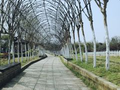 -武汉紫薇都市田园