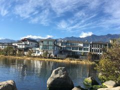 -才村湿地公园