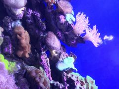 -青岛海底世界-水族馆