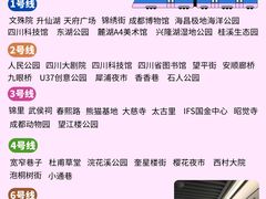 -王婆婆老妈蹄花川菜馆·非物质文化遗产(太古里一店)