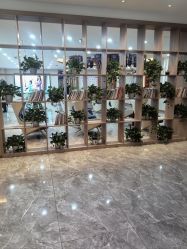 -碧莲盛·不剃发植发