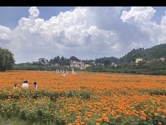 -哒啦仙谷旅游景区