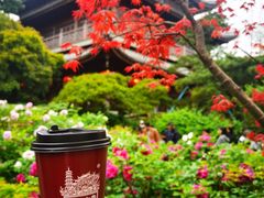 -龙华寺