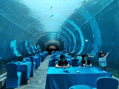 -海棠湾洲际-涛·海底餐厅·美人鱼·自助餐·海底隧道