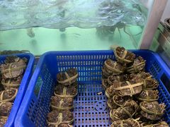 -品鲜村农家菜·阳澄湖大闸蟹(总店)
