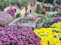 -杭州植物园