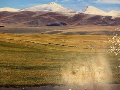 -新疆巴州金丝特餐厅(大钟寺店)