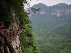 -鹿院坪生态旅游景区