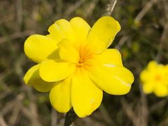 -吴淞炮台湾湿地森林公园烧烤区