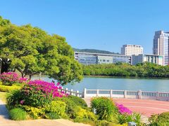 -白鹭洲公园