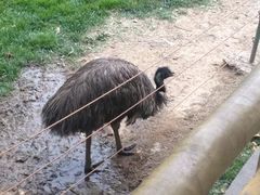 -石家庄市动物园