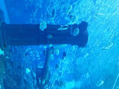 -波塞冬旅游度假区