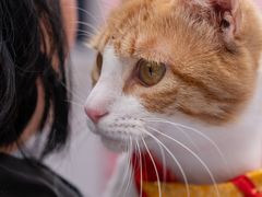 -太平洋数码广场