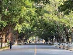 -广东外语外贸大学(白云山校区)