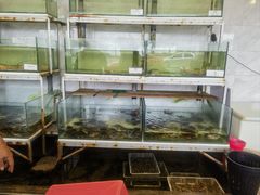 -ZF Seafood Restaurant 卓峰海鲜餐