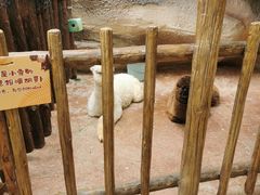 -杭州开元森泊度假乐园