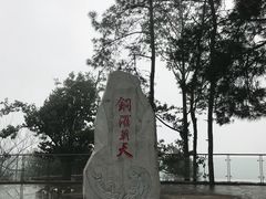 -铁山坪森林公园