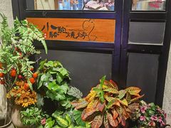 -福苗小骆驼烧烤(莲湖路店)