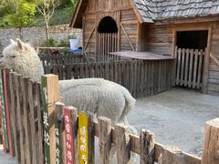 -幽岚山·童话森林