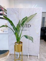 -MT·ID 烫发.染发.接发SALON