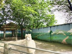 -成都动物园