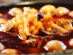 -李子坝梁山鸡(李子坝大鸡哥店)