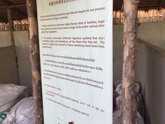 -大象粑粑造纸公园
