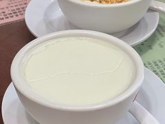 南信双皮奶-南信牛奶甜品专家