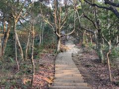 -梧桐山风景名胜区