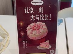-哈根达斯(上海金山店)