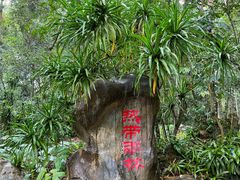 -中国科学院西双版纳热带植物园