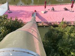 -苏州太湖西山岛开心农场