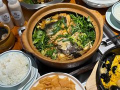 -九道菜有鸡鱼头(石鼓路店)