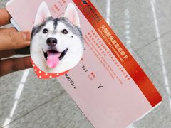 -福州长乐国际机场